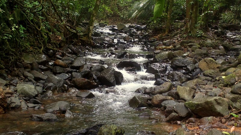 offbeat places in goa, hidden places in goa, unexplored places in goa, secret places in goa, offbeat places to visit in goa, hidden beaches in goa, less crowded beaches in goa, clean beaches in goa less crowded, secret beaches in south goa