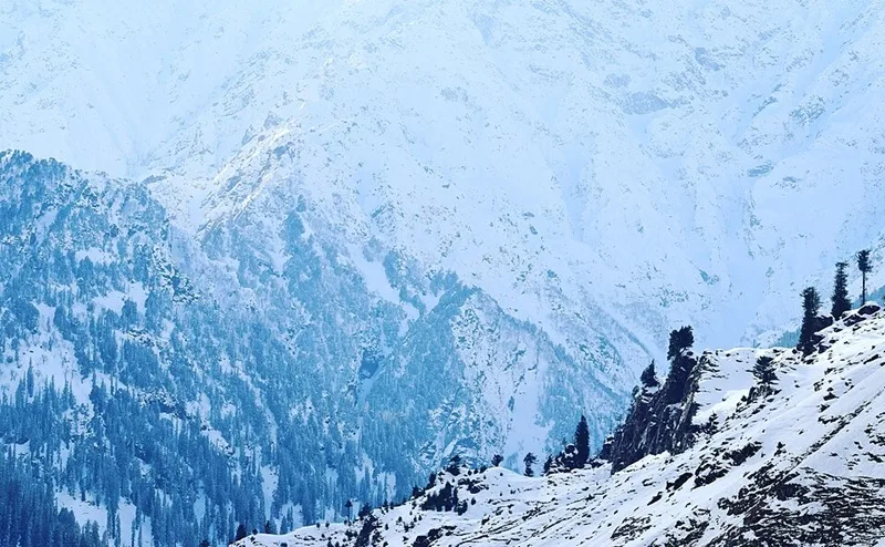 why hotels in Manali become costly suddenly, Manali hotel prices, why hotels are expensive in Manali, Manali hotel cost increase