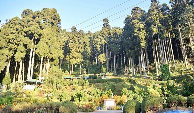 offbeat places in darjeeling, best offbeat places in darjeeling, offbeat places to stay in darjeeling, offbeat places in darjeeling district, offbeat places to visit in darjeeling, offbeat place in darjeeling
