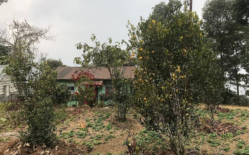 offbeat places in north bengal, best offbeat places in north bengal, offbeat places in west bengal, offbeat tourist places in north bengal, offbeat places in south bengal, offbeat places to visit in west bengal, offbeat tourist places in west bengal, offbeat places in north bengal and sikkim, best offbeat places home stay in north bengal