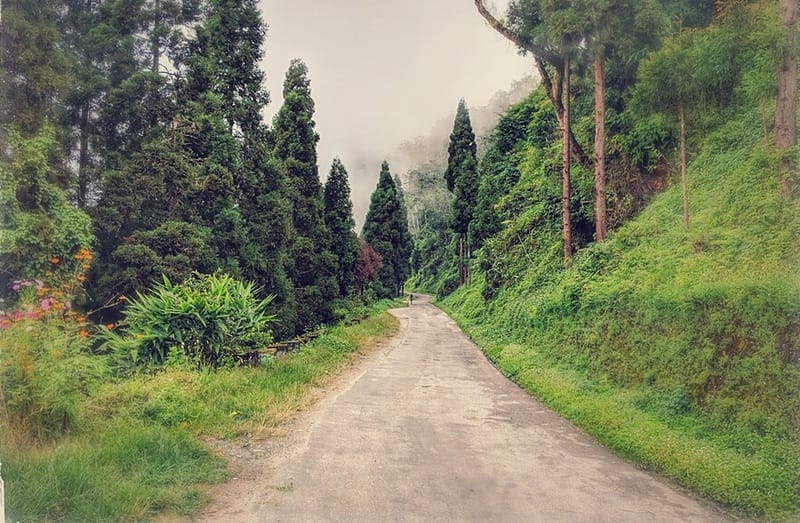 offbeat places in north bengal, best offbeat places in north bengal, offbeat places in west bengal, offbeat tourist places in north bengal, offbeat places in south bengal, offbeat places to visit in west bengal, offbeat tourist places in west bengal, offbeat places in north bengal and sikkim, best offbeat places home stay in north bengal