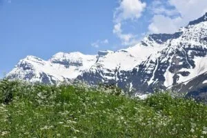 top bba colleges in bangalore, top 10 bba colleges in bangalore, best bba colleges in bangalore, bba colleges in bangalore with fees, top bba university in bangalore, bba admission bangalore 2026, christ university bba, nmims bangalore bba