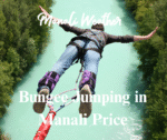 Bungee Jumping in Manali Price