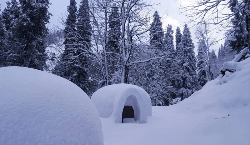 igloo stay in manali, igloo in manali, igloo hotel in manali, igloo house in manali, igloo in manali price, igloo house in manali price, igloo in kullu manali, igloo rooms in manali, igloo stay in manali cost, stay in igloo in manali, igloo in manali booking, igloo stay sethan manali, snow igloo stay manali