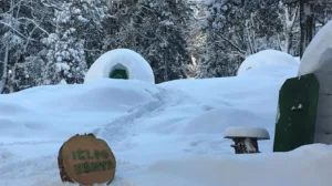 Igloo 2