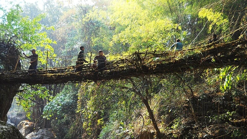 offbeat places in meghalaya, best offbeat places in meghalaya, top 10 offbeat places in meghalaya, most offbeat places in meghalaya, top offbeat places in meghalaya, offbeat places to visit in meghalaya, offbeat places to stay in meghalaya, offbeat places in shillong, hidden places in meghalaya, offbeat in meghalaya, meghalaya offbeat places to stay, meghalaya offbeat places to visit, meghalaya offbeat places, offbeat location in meghalaya