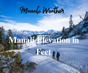Manali Elevation in Feet