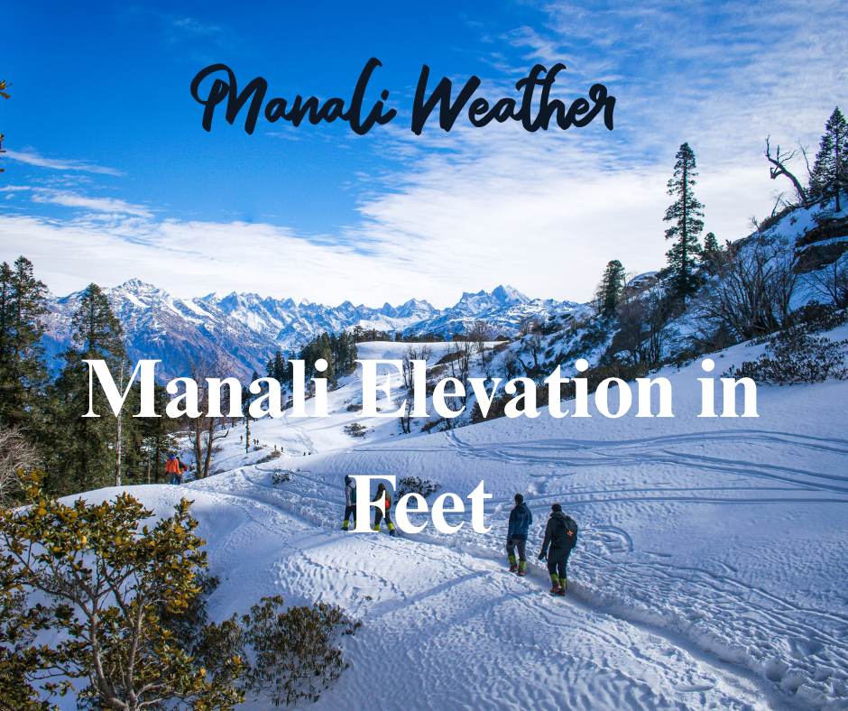 Manali Elevation in Feet