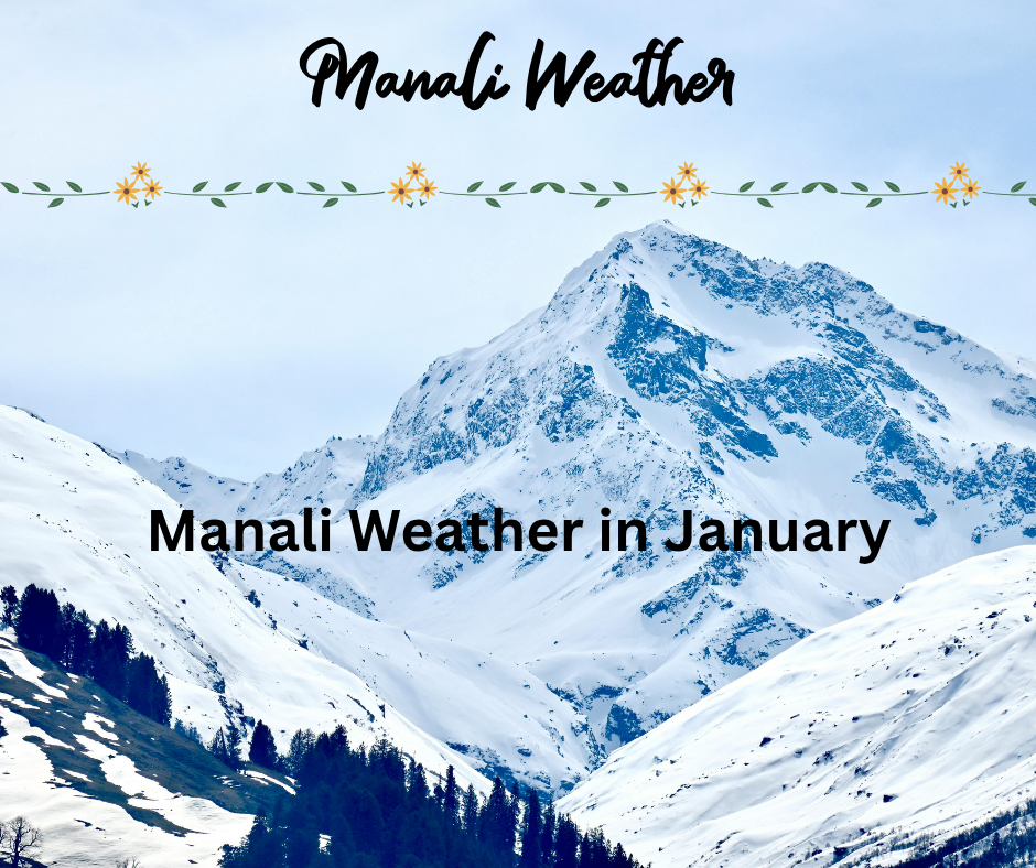 Manali Weather in January