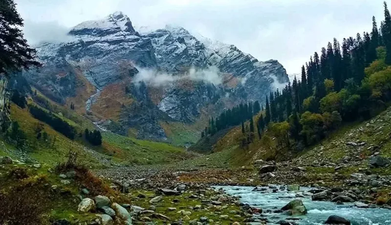 Top 5 Offbeat Places in Manali - Hidden Gems for a Peaceful Trip 2 offbeat places in manali, offbeat stays in manali, offbeat places to stay in manali, offbeat things to do in manali, hidden places near manali, peaceful places in manali, unexplored places in manali, offbeat villages in manali