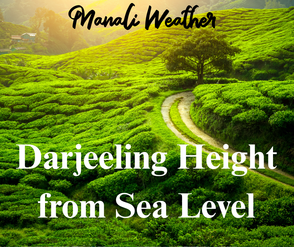 Mahabaleshwar hills and strawberry fields
