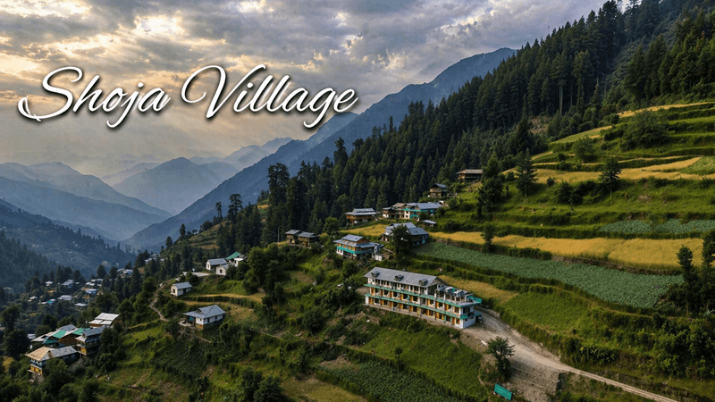 offbeat places in himachal pradesh, offbeat places to visit in himachal pradesh, offbeat tourist places in himachal pradesh, best offbeat places in himachal pradesh, best offbeat places to visit in himachal pradesh, top 10 offbeat places in himachal pradesh