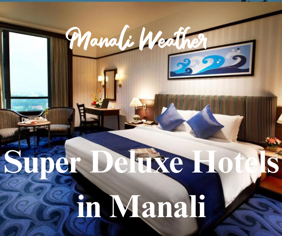 Super Deluxe Hotels in Manali