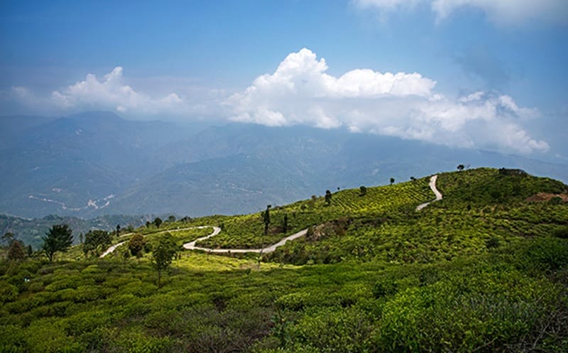 offbeat places in darjeeling, best offbeat places in darjeeling, offbeat places to stay in darjeeling, offbeat places in darjeeling district, offbeat places to visit in darjeeling, offbeat place in darjeeling