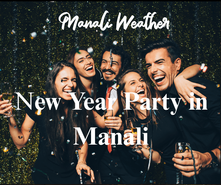new year party in manali